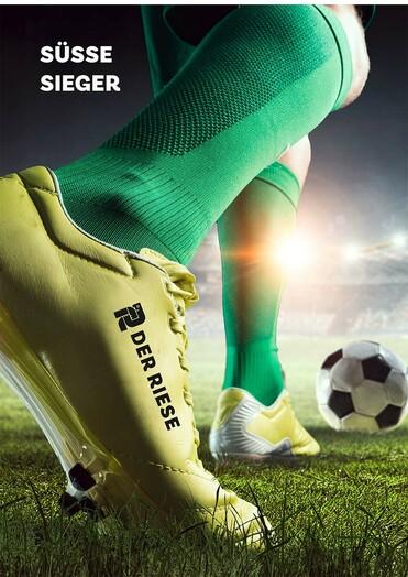 DER RIESE Werbemittel Katalog zur Fußball EM
