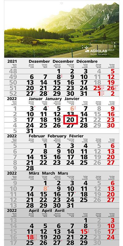 DER RIESE Monatskalender Quintus mit 5 Monaten